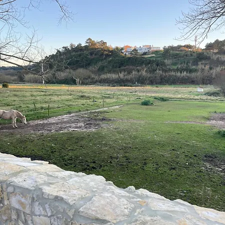 Cozy In Historic Downtown - Farm Views - Walk To Dom wakacyjny Foz do Arelho