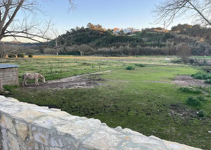 Cozy In Historic Downtown - Farm Views - Walk To בית נופש פוז דו ארליו